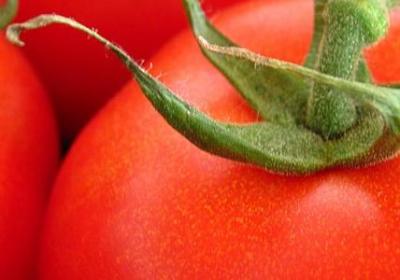 描写树叶的词语有什么(41句) 描写树叶的词语有什么(41句)