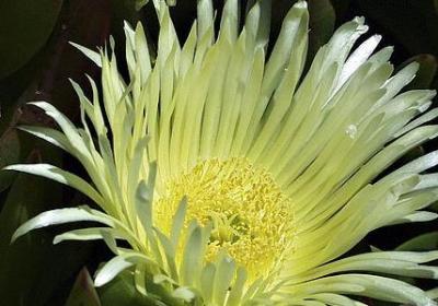 描写赞美的词语(共81句)