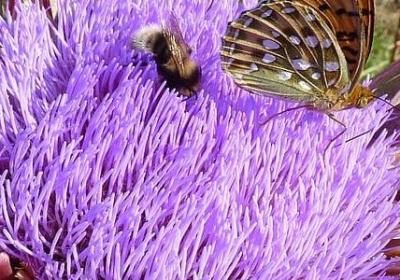 描述香港的词语(合集9句) 描述香港的词语(合集9句)