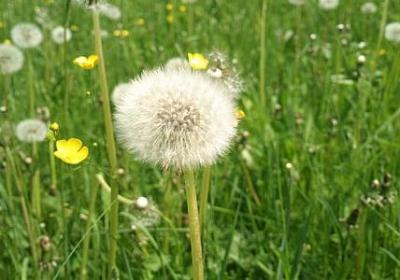 描写长廊的词语(60句) 描写长廊的词语(60句)