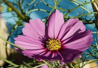 描写皮肤白的词语(优选40句) 描写皮肤白的词语(优选40句)