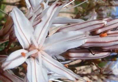 有两个百的词语(汇总10句)