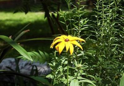 有数字的词语(推荐50句)