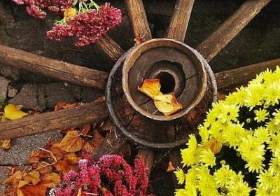 春的词语有哪些(通用32句)