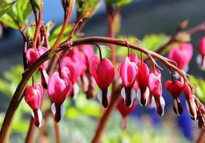 正确使用词语包括熟语(推荐74句)