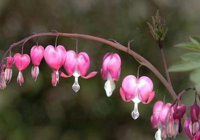 活组词有哪些词语(共33句)