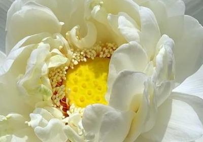 热闹场面的词语(实用79句)