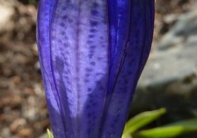 泉水什么成语四字词语(优选60句)