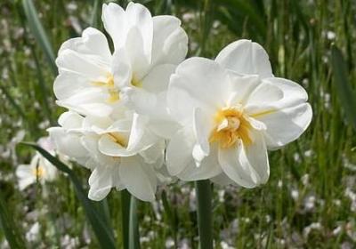 照样子 写词语 甜蜜(合集50句)