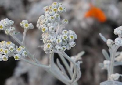 汉语词语午夜(热门60句)