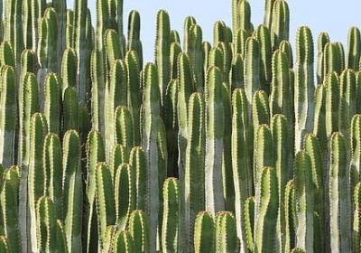 泉水词语补充完整(必备80句)