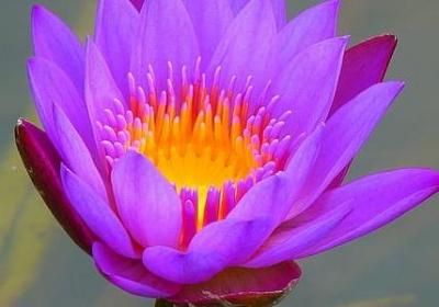 牙能组什么词语(必备10句)