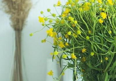 温柔的什么填词语(推荐70句)