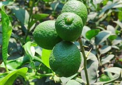 没有耐心的词语(精选70句)