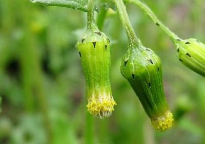 秋天形容雨的词语(热门40句)