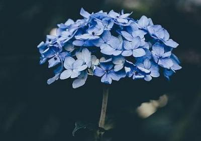 竟加偏旁组词语(必备40句)