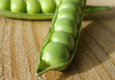 痛得什么填词语(热门10句)