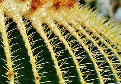 矣怎么组词语(汇总40句)