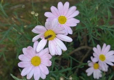 神能组什么词语(通用5句) 神能组什么词语(通用5句)