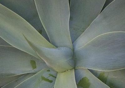 看不起别人的词语(通用11句) 看不起别人的词语(通用11句)