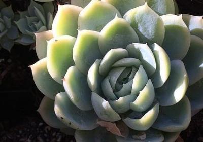 看的一字词语(必备60句) 看的一字词语(必备60句)