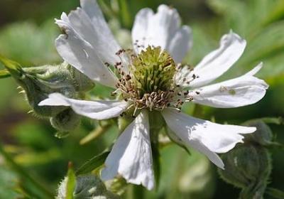 网络新潮词语(精选35句) 网络新潮词语(精选35句)