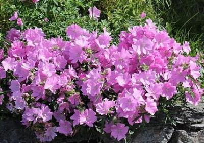 给佥加偏旁并组词语(精选10句) 给佥加偏旁并组词语(精选10句)