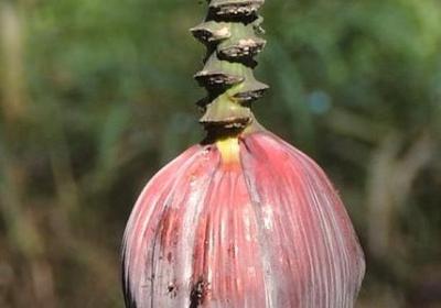 自的词语四个字(汇总40句)