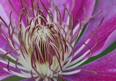 端午节快乐的词语(汇总80句)