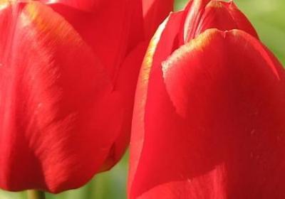 给字词语接龙(推荐10句)