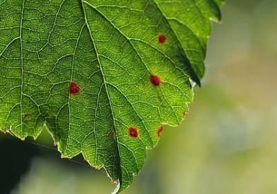 表示好奇的词语(汇总23句)