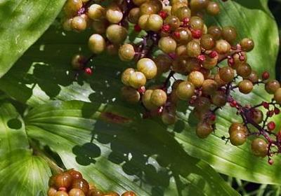 表示从前的词语(汇总10句)