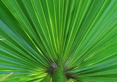 表示神态的词语有哪些(热门41句)