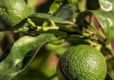 让人开心的词语(精选79句)