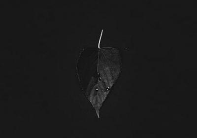 表示迎接的词语(精选50句) 表示迎接的词语(精选50句)