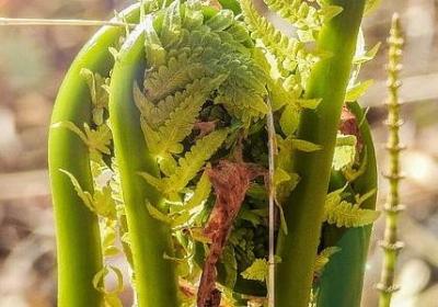 诚恳而深切的词语(精选9句)