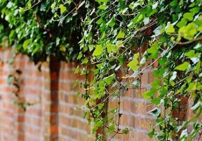 表达冬天的词语(共41句)