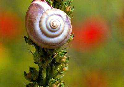 赞美妈妈的四字词语(热门60句)