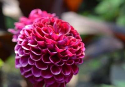 谨可以组什么词语(共51句)