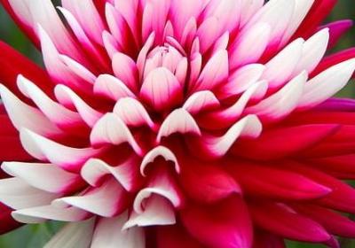 词语大全及意思(共10句)