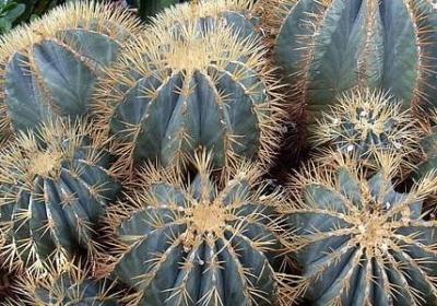 有关做自己的名言(推荐80句)