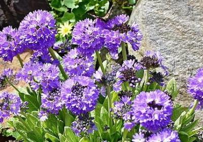 有关勤奋的名言名句(推荐80句)