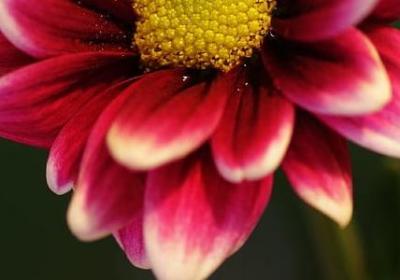 有关科学的名人名言(合集46句)