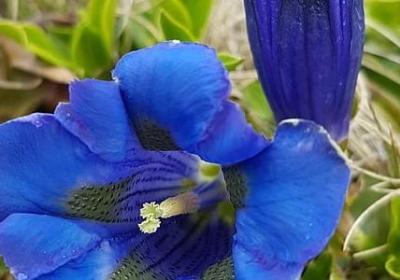 有关家庭教育的名言(优选80句) 有关家庭教育的名言(优选80句)