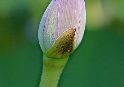 爱学生的名言(合集40句) 爱学生的名言(合集40句)