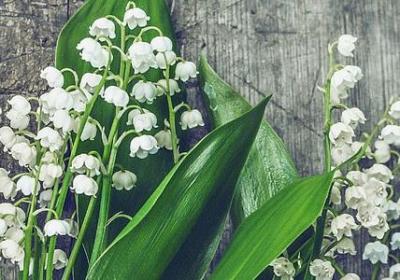 有关鼓励的名言(通用50句)