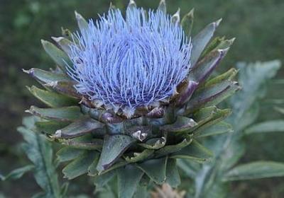 朋友的名言警句(精选80句)