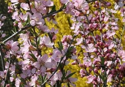 滴水穿石的名言(热门70句)