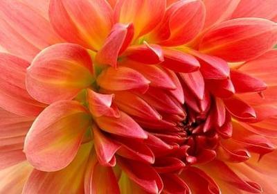 有哪些爱国名言(实用70句)