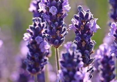 跟雨有关的词语(热门40句) 跟雨有关的词语(热门40句)